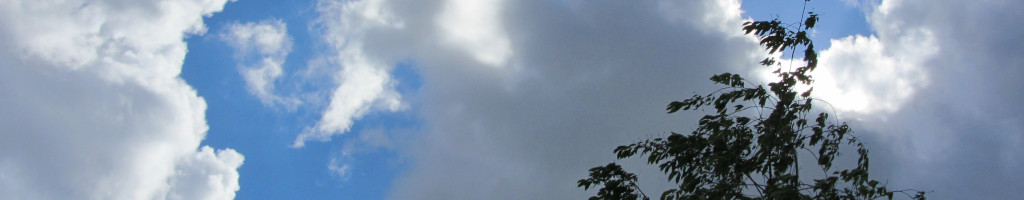 Mehr über den Artikel erfahren Wetter